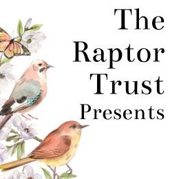 The Raptor Trust Pre